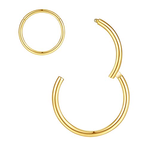 2pcs 8mm Septum Ring Septum Jewelry Seamless Septum Clicker Nose Rings 18 Gauge Nose Ring Hoop 18g Cartilage Earring Lip Rings Gold Nose Hoop Surgical Steel Helix Earring Nipple Rings for Women Men