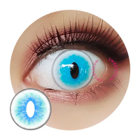 Sweety Crazy Cat Snowshoe