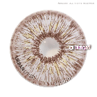 Urban Layer Brown Rain