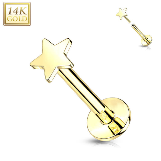 Piercing Earring Flat Star Top Stud