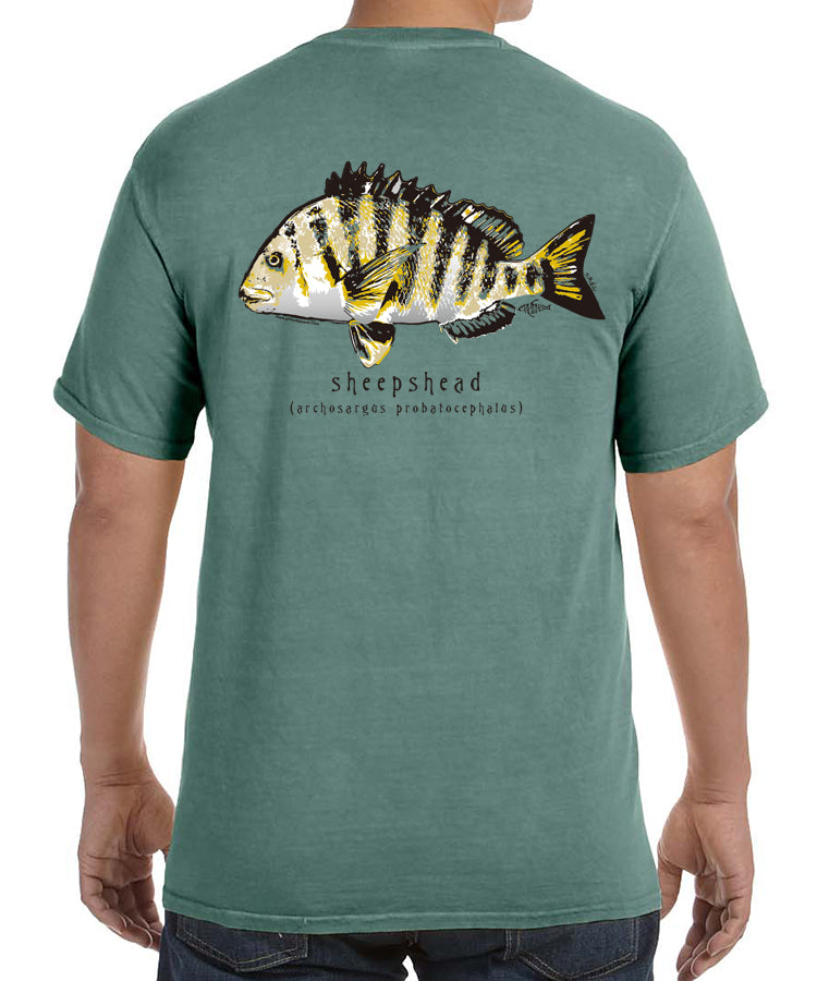 Phins Sheepshead SS tee