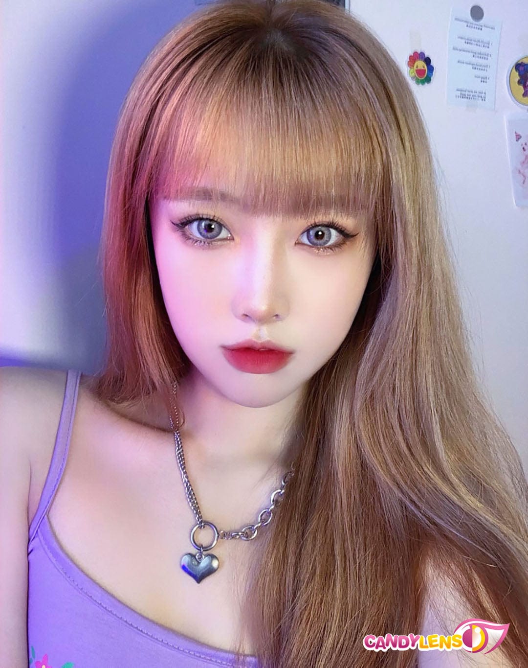 Pola Violet Color Contacts